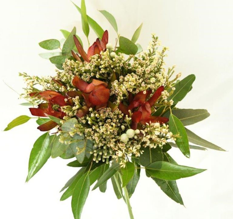 Luxurious Cape Mix (1)