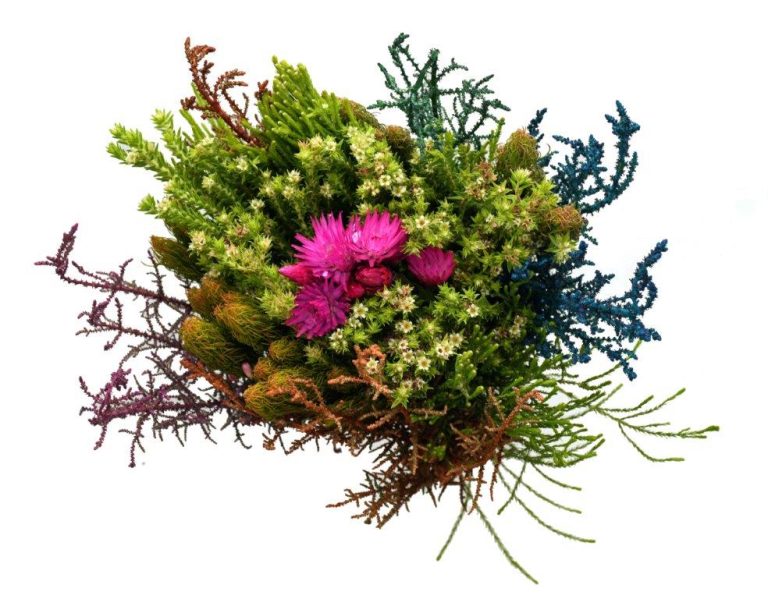 Mountain Mix - Jan-Mrt