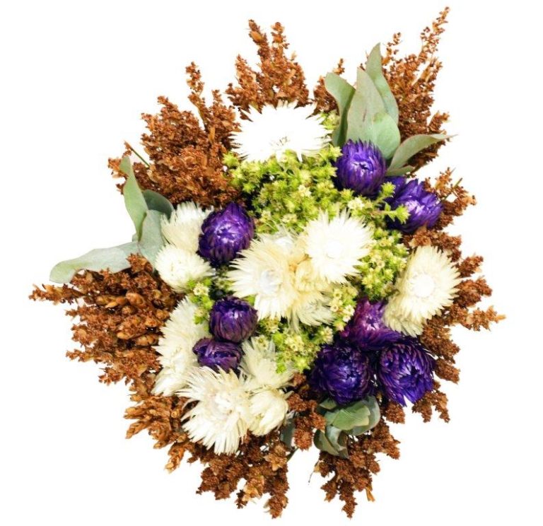 Purple Ice - Jan-Mrt