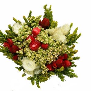 Lady Red - Valentine