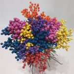 Bouquet Lanuginosa Mix Colours