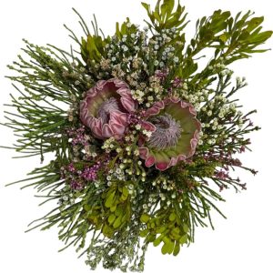 Compacta Carousel 2PT