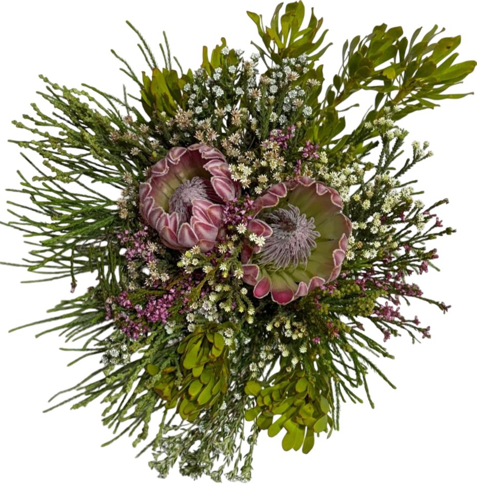 Compacta Carousel 2PT