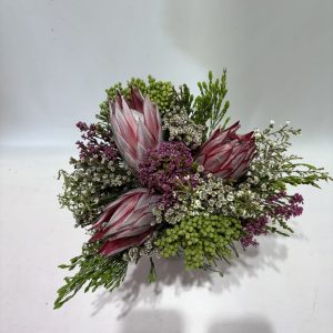 Cynaroides Carousel 2