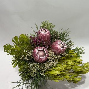 Hybrid Carousel Pine