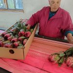 IMG_20251020_095207_1