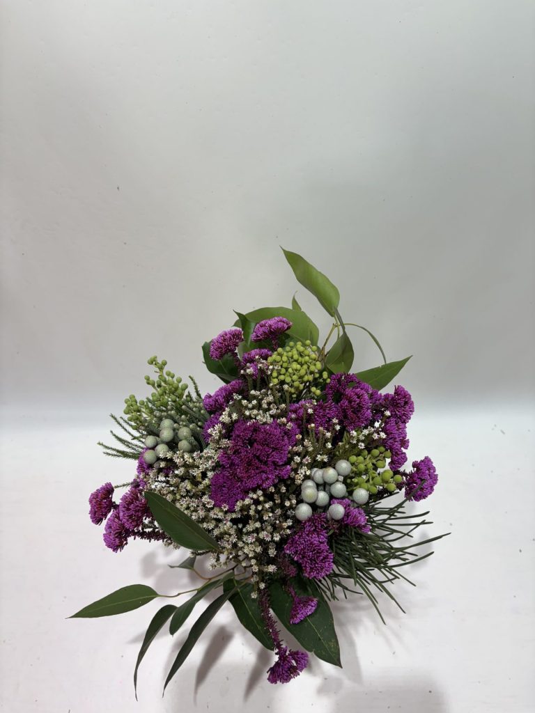 Metalasia Pink mix with Brunia