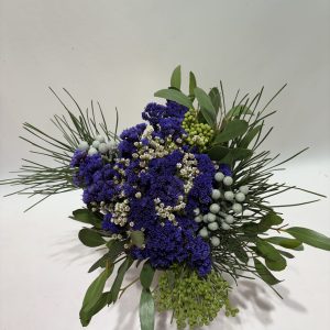 Metalasia Purple Mix with Brunia