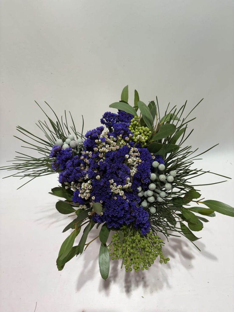 Metalasia Purple Mix with Brunia